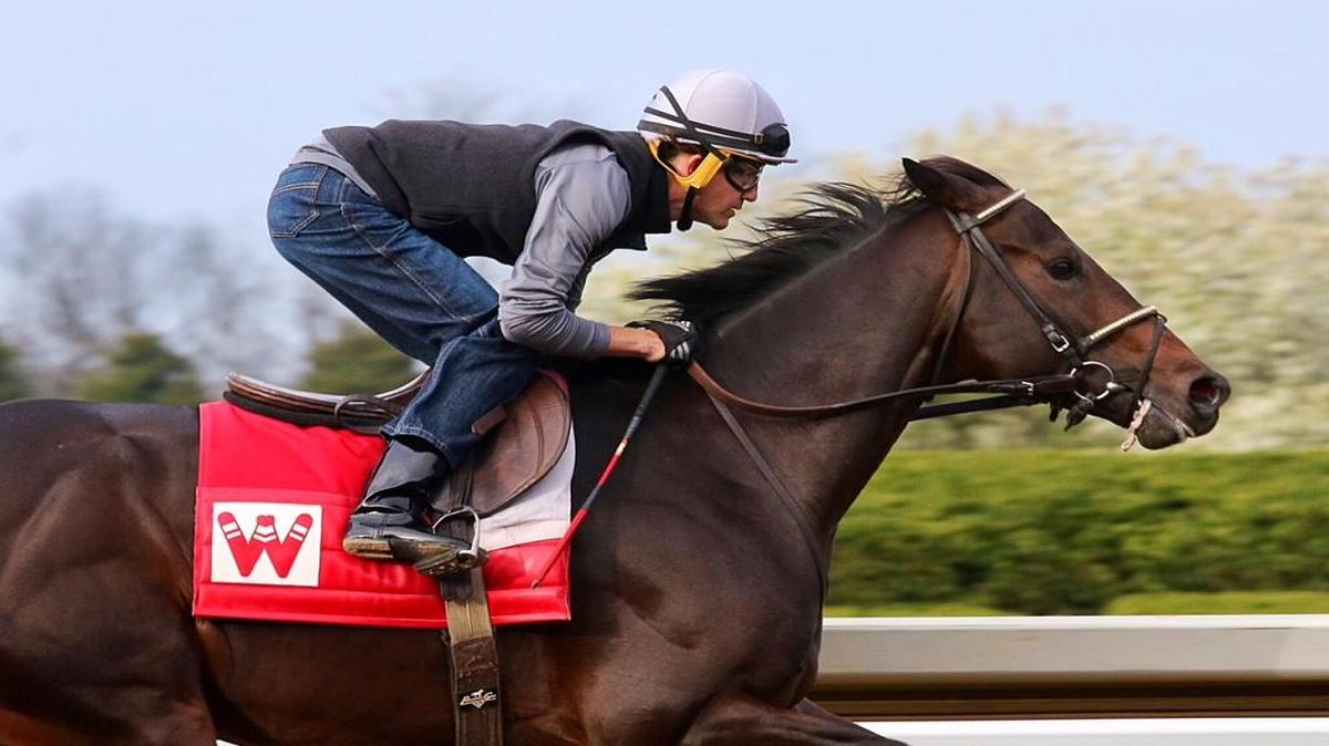 McCraken, the probable favorite for Saturday’s Grade II Toyota Blue Grass Stakes, worked a half-mile in :49.40 over a fast main track after the Sunday morning renovation break.