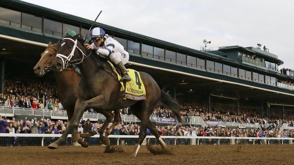 Stopchargingmaria (4), with Javier Castellano up, edges out Stellar Wind, with Victor Espinoza up, to win the Breeders' Cup Distaff horse race at Keeneland race track Friday, Oct. 30, 2015, in Lexington, Ky.
