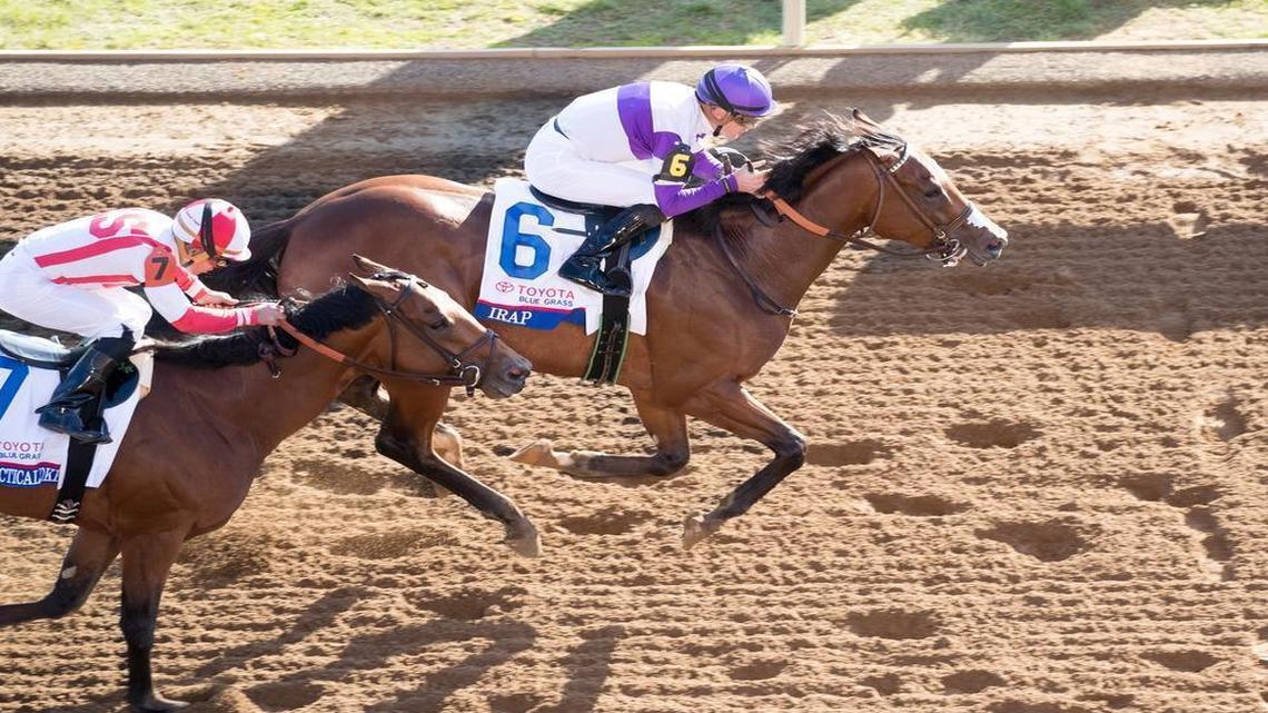 Irap with Julien Leparoux aboard won the 93rd running of The Toyota Blue Grass Stakes at Keeneland.