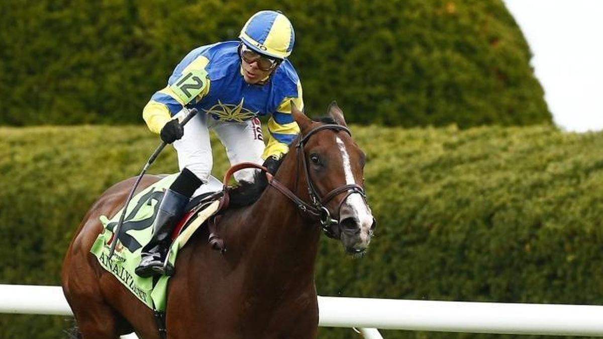 Analyze It, with jockey Jose Ortiz aboard, won the 30th running of the Transylvania Stakes on Friday at Keeneland.