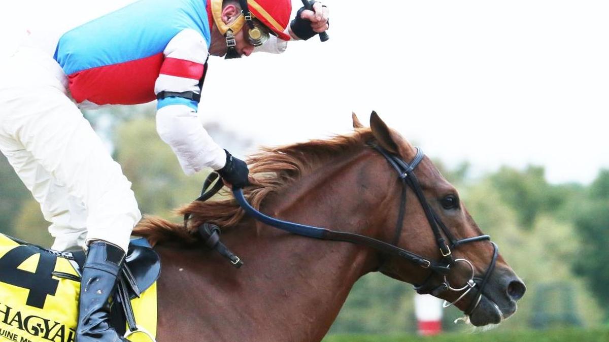 Fifty-year-old Calvin Borel rode long shot The Player to victory in the $200,000, Grade II Hagyard Fayette Stakes at Keeneland on Saturday, the last day of the Fall Meet.