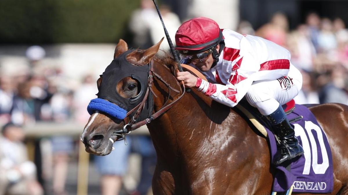Collected, with Javier Castellano up, won the Lexington Stakes for owner Peter Flour and trainer Bob Baffert during the 2016 Keeneland Spring Meet.