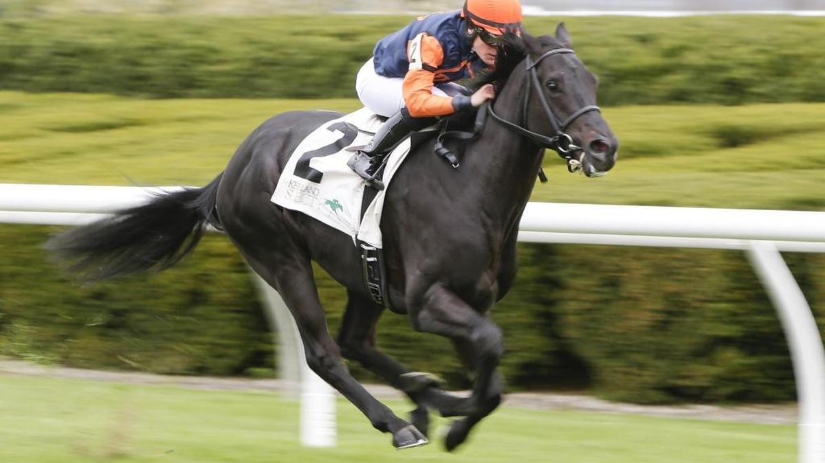 Shakhimat, with Emma-Jayne Wilson aboard, won the 28th running of the Transylvania Stakes at Keeneland on Friday.