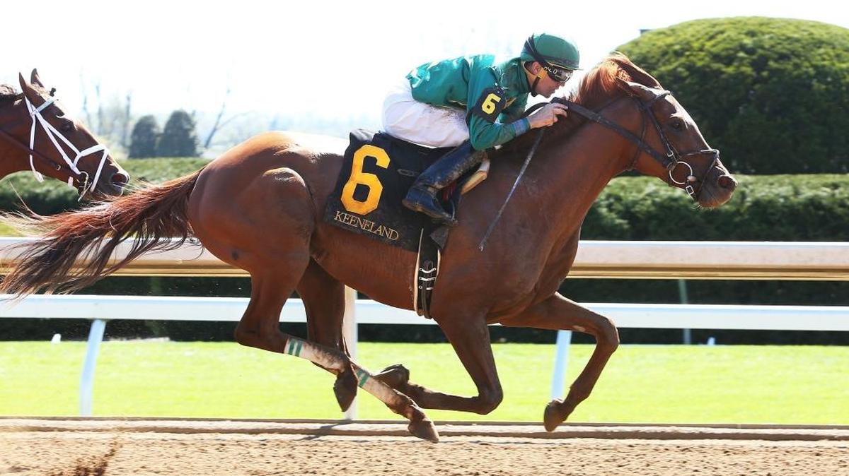 Spring Meet racing continues Friday at Keeneland.