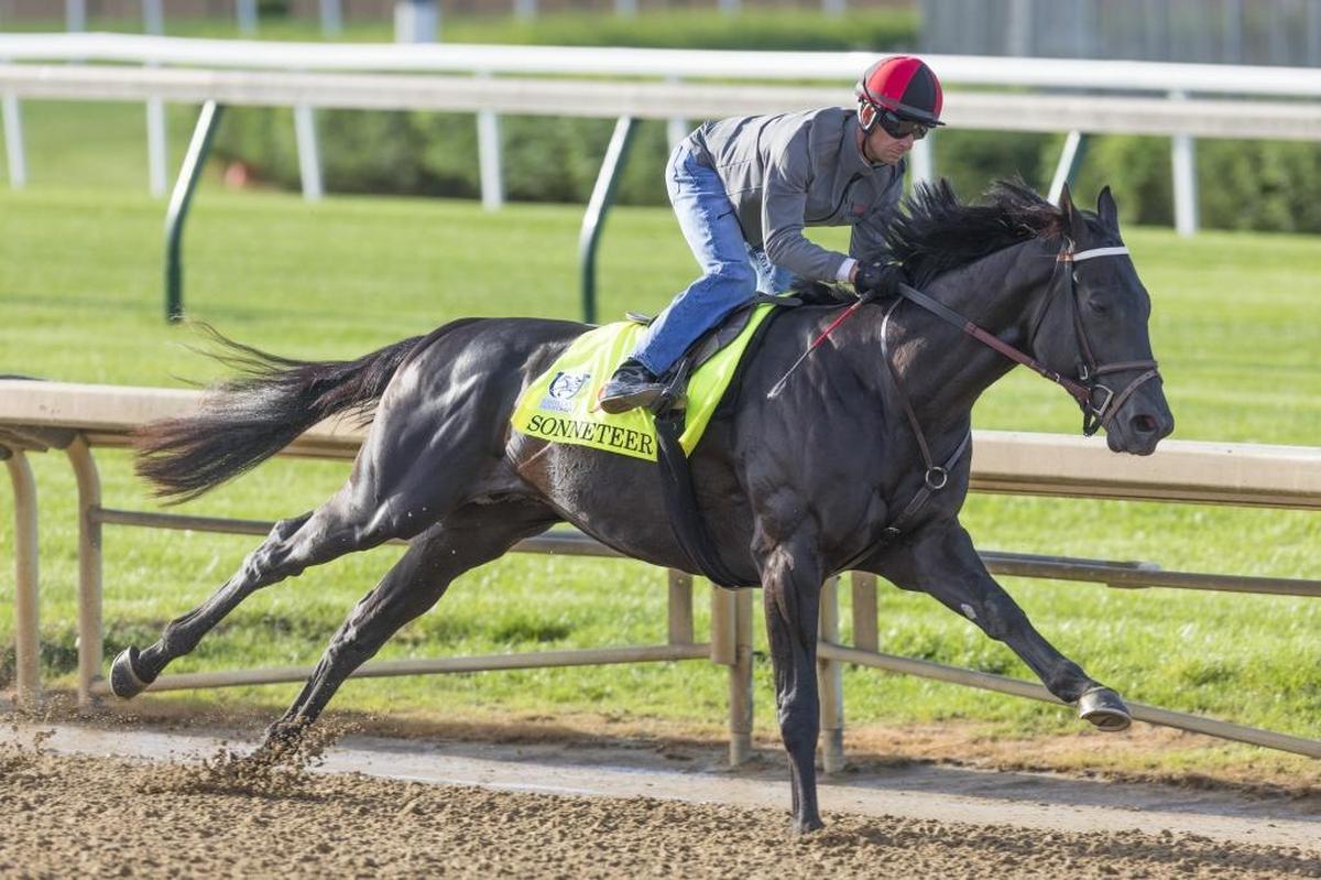 Sonneteer is one of three homebreds from Calumet Farm in Lexington.