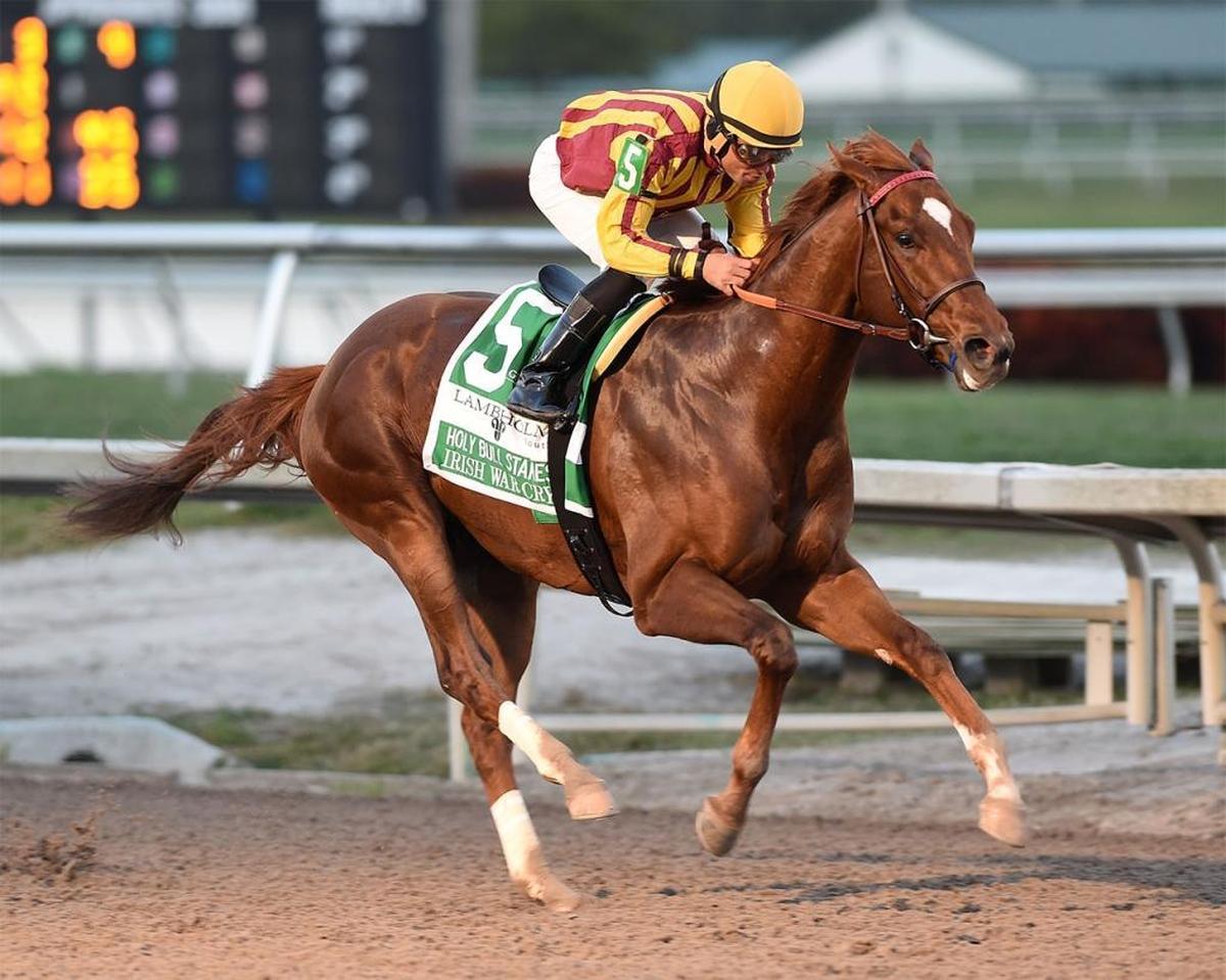 Irish War Cry was the winner of the Wood Memorial in his most recent Kentucky Derby prep race.