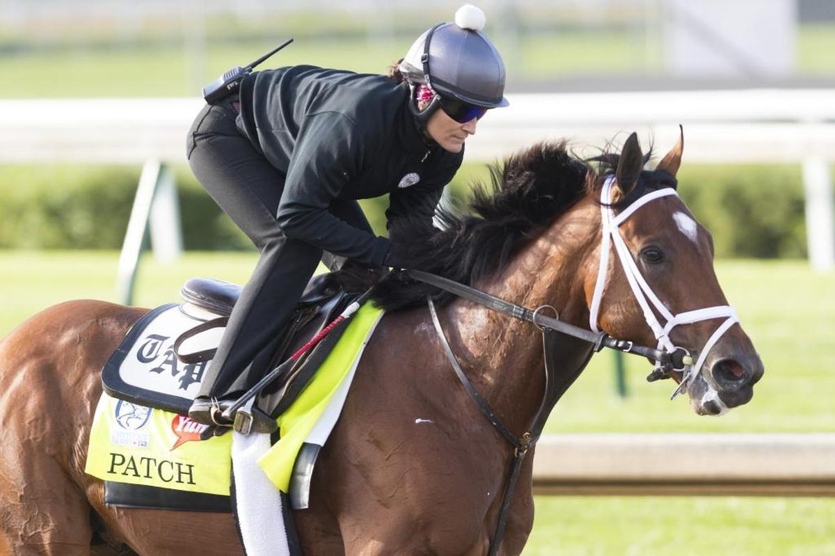 Patch, another Calumet homebred, has only one eye after an ulcer forced the removal of his left eye.