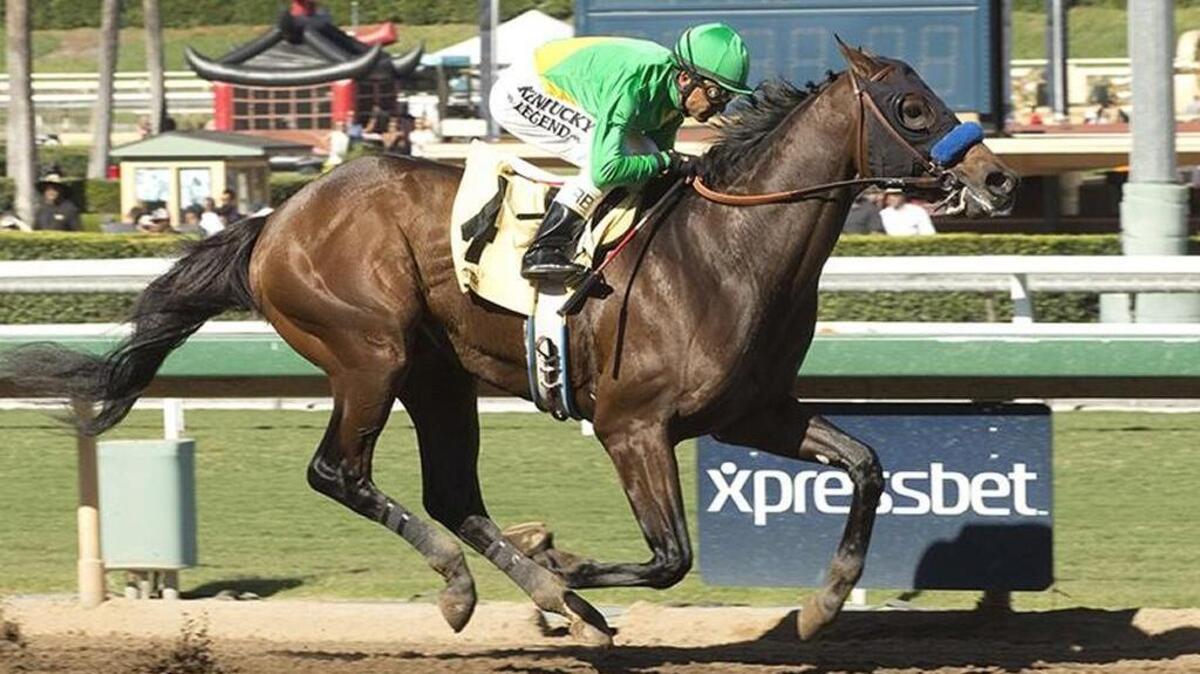 Mastery is the 6-5 favorite for Saturday’s San Felipe Stakes at Santa Anita.