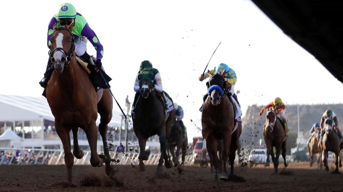 Jose Ortiz rode Good Magic to victory in the Breeders’ Cup Juvenile at Del Mar last November. Good Magic is among 360 horses nominated for this year’s Triple Crown series, which starts with the Kentucky Derby on May 5.