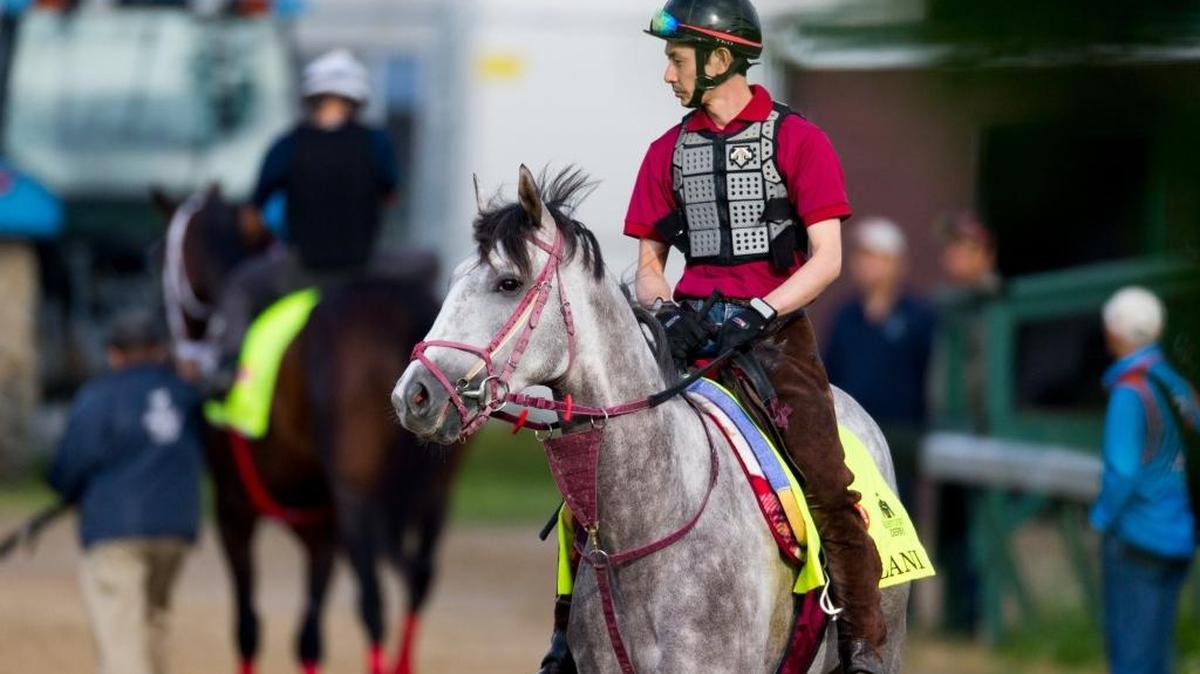 Derby hopeful Lani, with Eishu Maruuchi, were on the track for training on Monday, May 2, 2016, at Churchill Downs in Louisville.