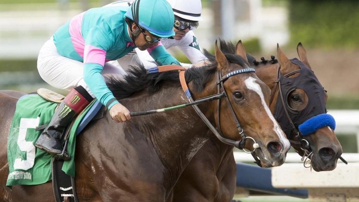 American Anthem, right, was defeated by a head by Gormley in his most recent outing, the Sham Stakes on Jan. 7.