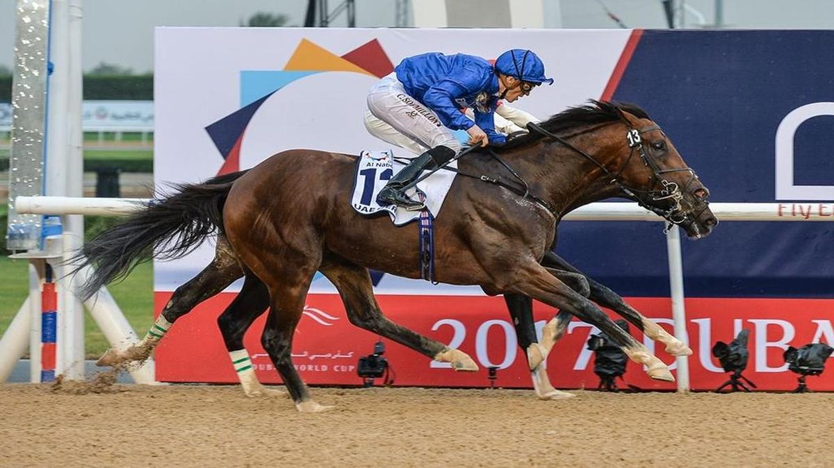 Thunder Snow will run in the Kentucky Derby on May 6.