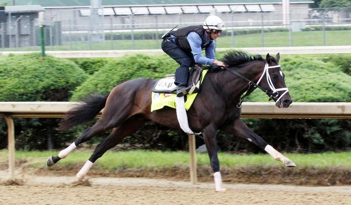 Always Dreaming won the Florida Derby in his most recent start on April 1.