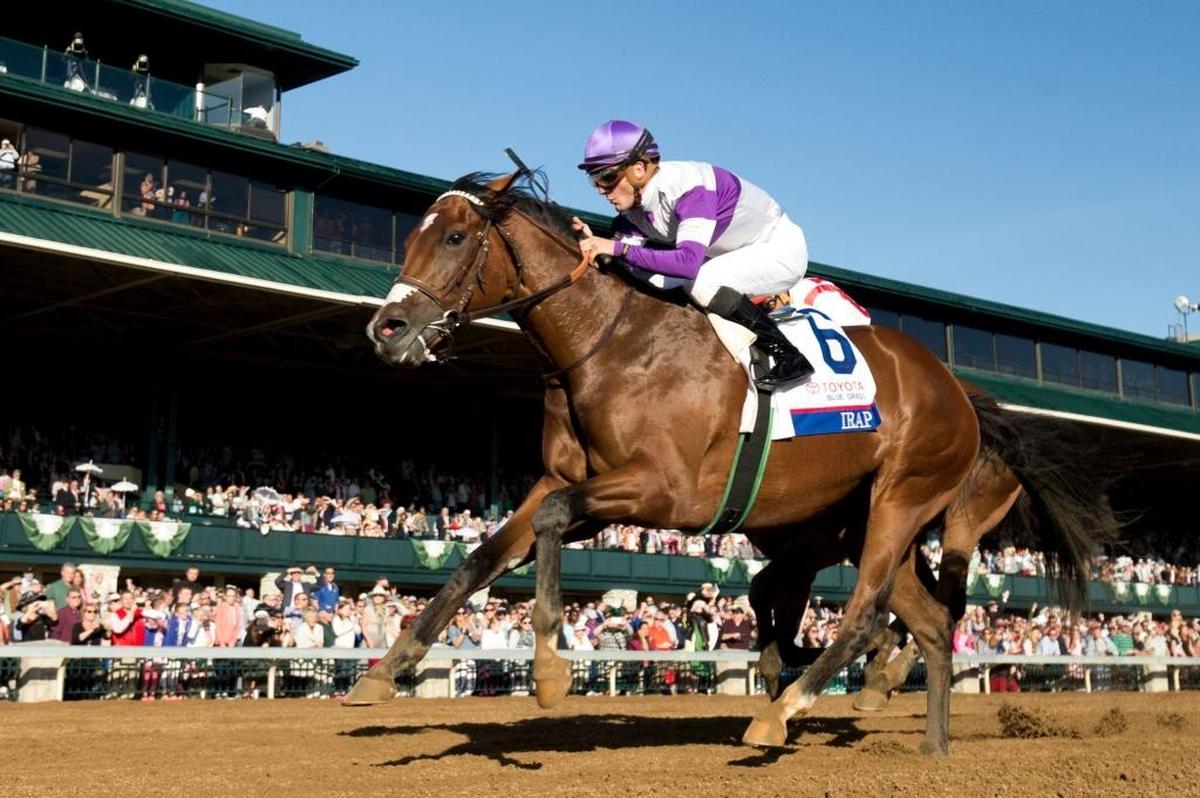 Irap won the 2017 Toyota Blue Grass Stakes at Keeneland. No Blue Grass winner has gone on to win the Derby since 1991.