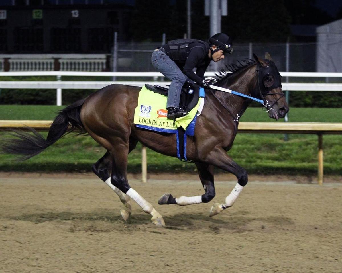 Lookin at Lee is one of three Derby contenders trained by Steve Asmussen, joining Hence and Untrapped.