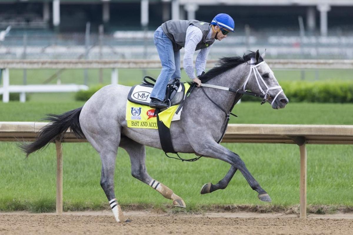 Fast and Accurate is officially a gray/roan colored colt owned by Kendall Hansen