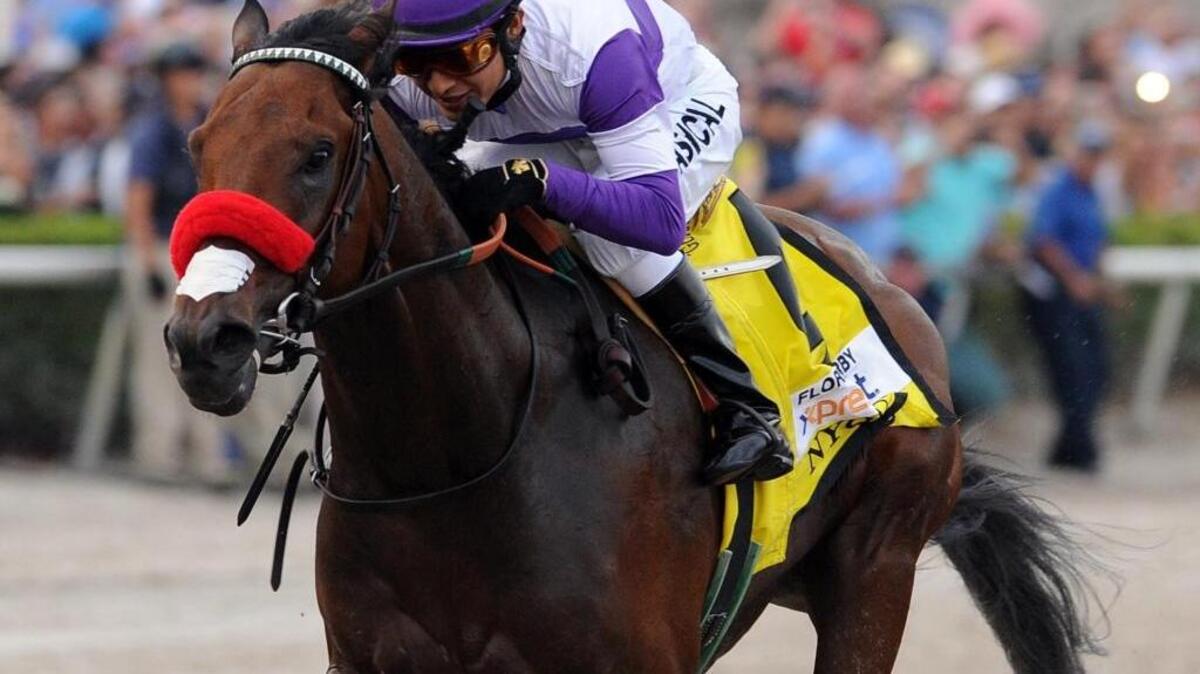 Nyquist, ridden by Mario Gutierrez (4), wins the Florida Derby horse race, Saturday, April 2, 2016, at Gulfstream Park in Hallandale Beach, Fla.