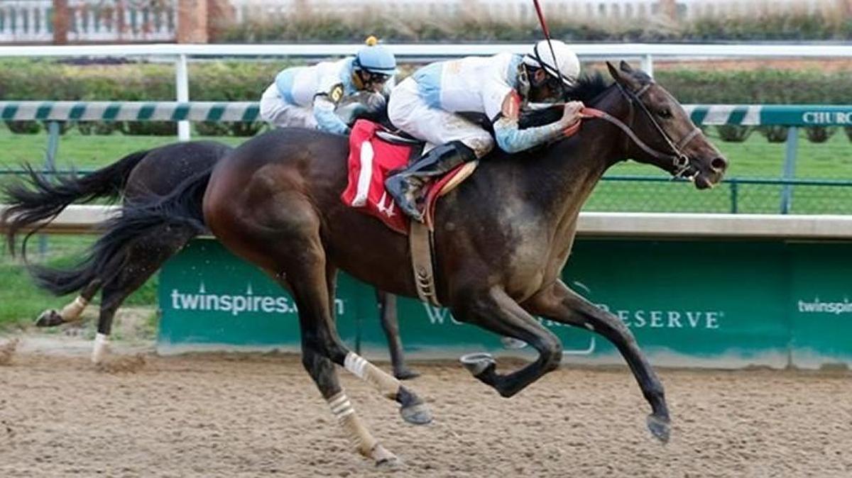 Since his win in the Grade III Lecomte Stakes to open his 3-year-old season on Jan. 16, Mo Tom has had two abysmal trips in the Grade II Risen Star and Louisiana Derby, finding trouble along the rail in the stretch in each outing.