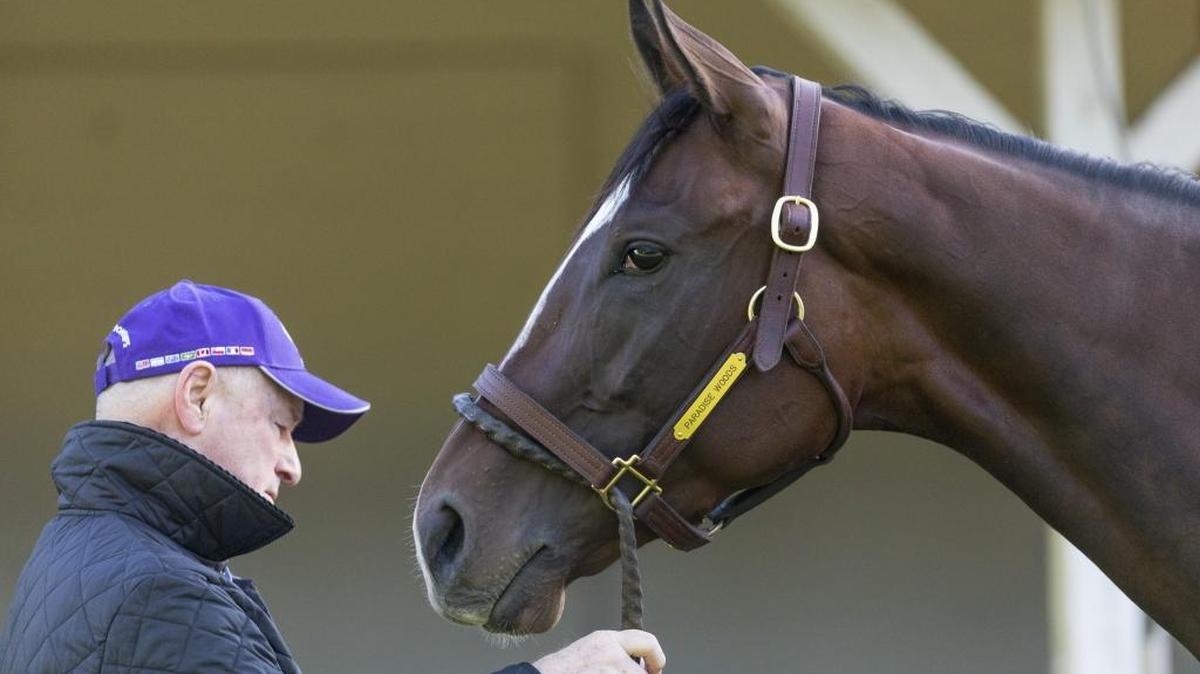Trainer Richard Mandella shared a moment with Kentucky Oaks favorite Paradise Woods after Tuesday morning’s work session at Churchill Downs.