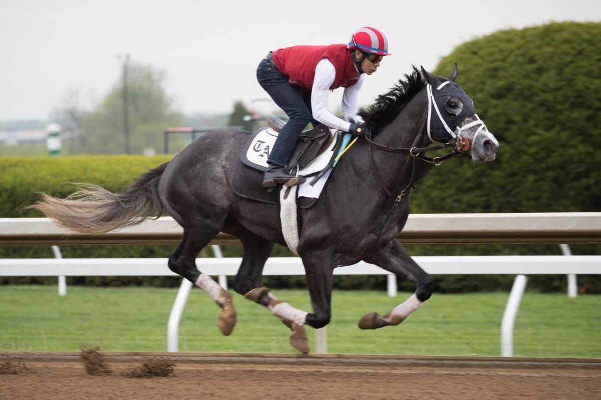 Tapwrit worked at Keeneland on Friday April 21, 2017 in Lexington, Ky.