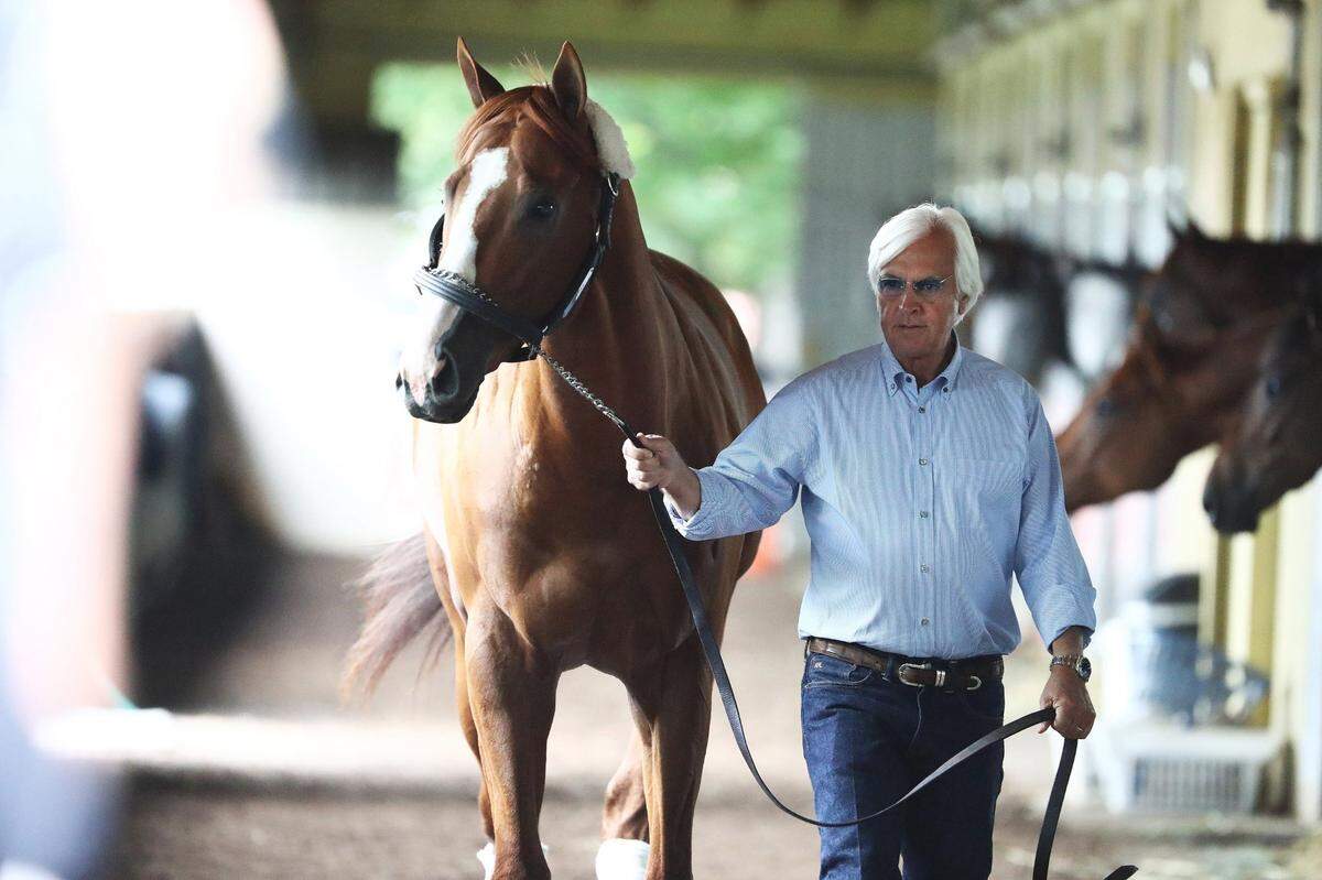 Justify is walked in his barn by trainer Bob Baffert at Belmont Park on June 6, 2018, in Elmont, New York.