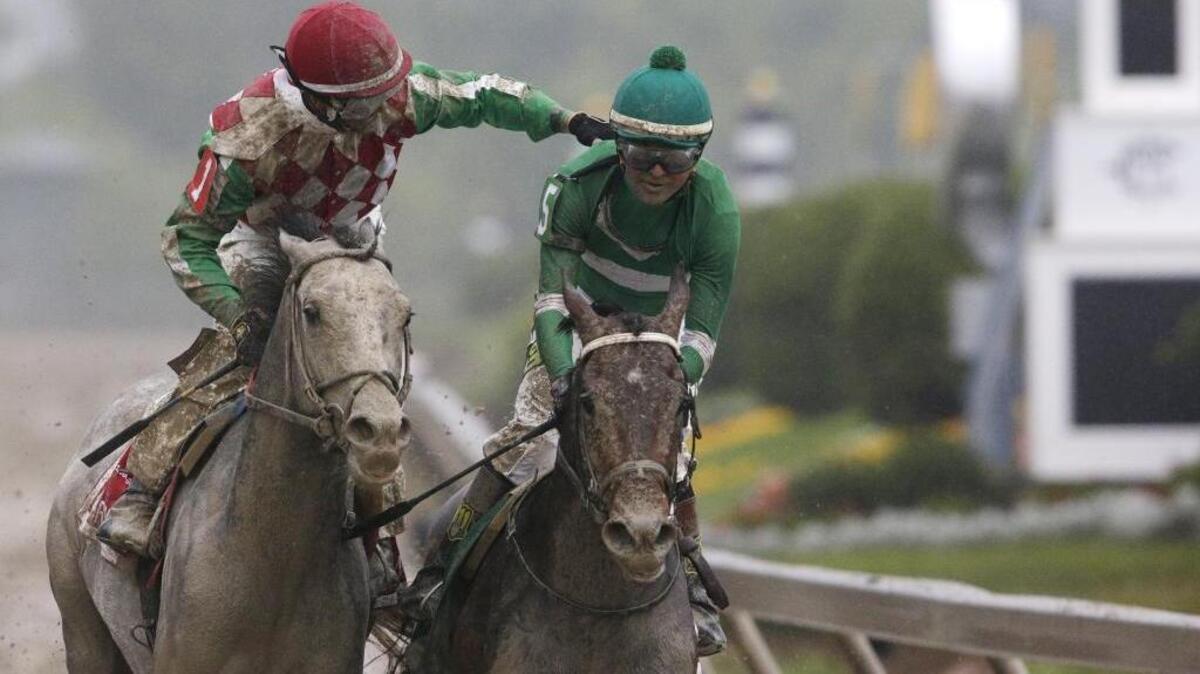 Kent Desormeaux, riding Exaggerator, was congratulated by Corey Lanerie, atop Cherry Wine, after the Preakness Stakes at Pimlico Race Course in Baltimore on May 21, 2016.