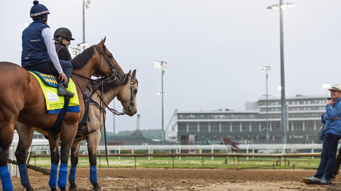 Looking for a Kentucky Derby long shot? These are the best bets to win big money