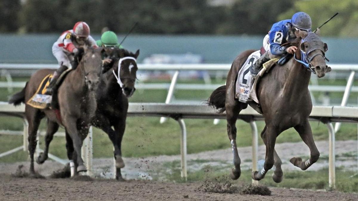 Gunnevera won the Fountain of Youth Stakes by 5 3/4 lengths at Gulfstream Park on March 4.