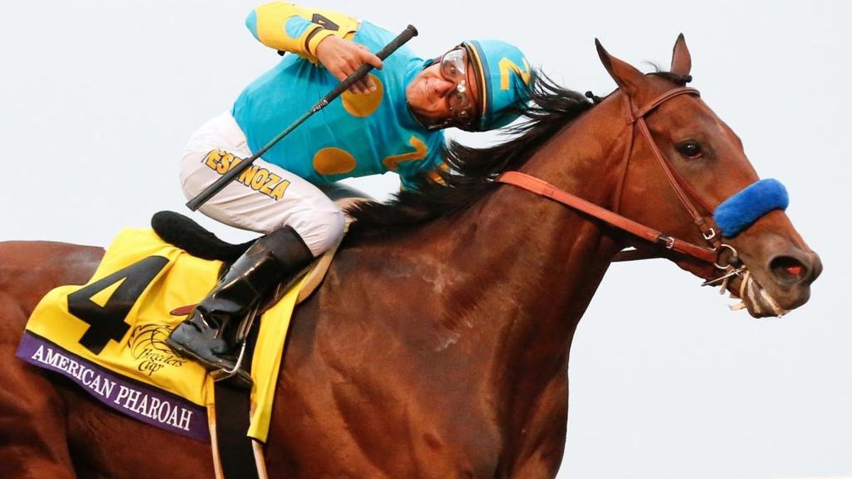 American Pharoah, with Victor Espinoza up, won the Breeders' Cup Classic at Keeneland opn Oct. 31, 2015, in Lexington.