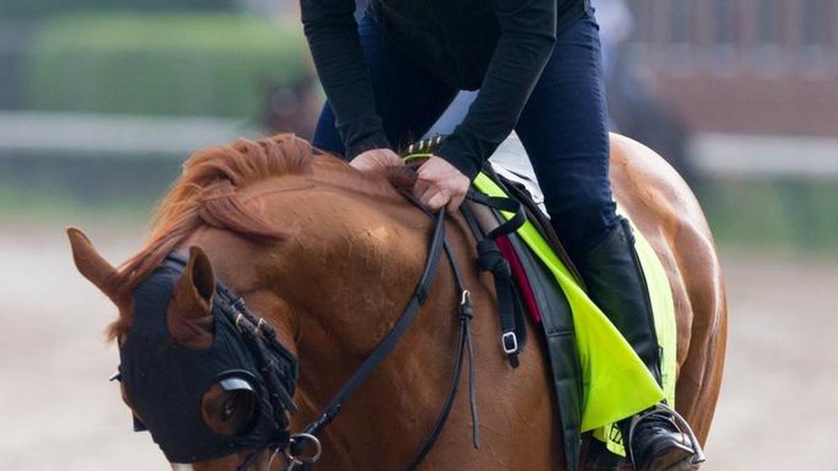 Derby 142 hopeful Whitmore with Laura Moquett up were on the track for training, Sunday, May 01, 2016 at Churchill Downs in Louisville.