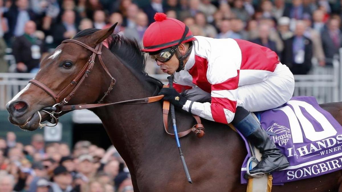 Mike Smith rides Songbird to win the Breeders' Cup Juvenile Fillies horse race at Keeneland race track Saturday, Oct. 31, 2015, in Lexington.