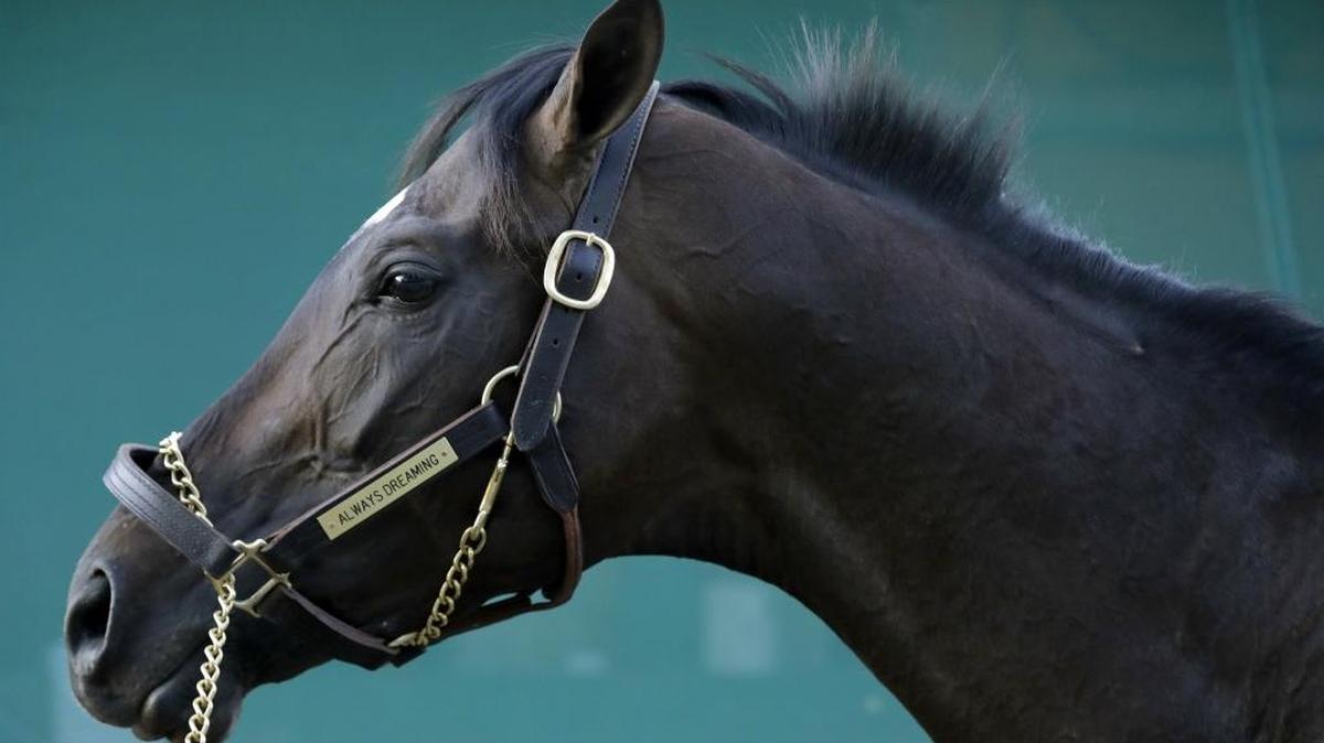 Kentucky Derby winner Always Dreaming stood outside his barn at Pimlico Race Course in Baltimore in preparation for Saturday’s Preakness Stakes.