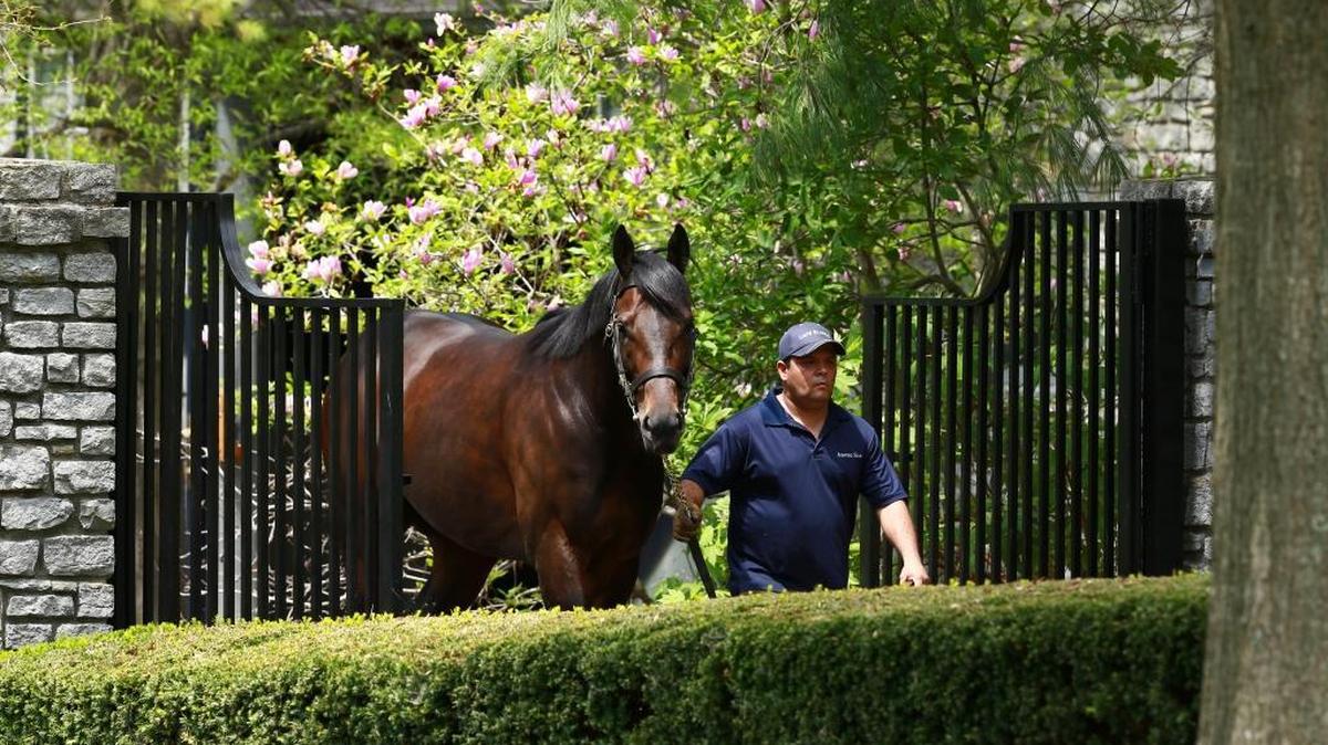 Uncle Mo’s first crop of offspring earned $3.7 million on the racetrack in 2015.