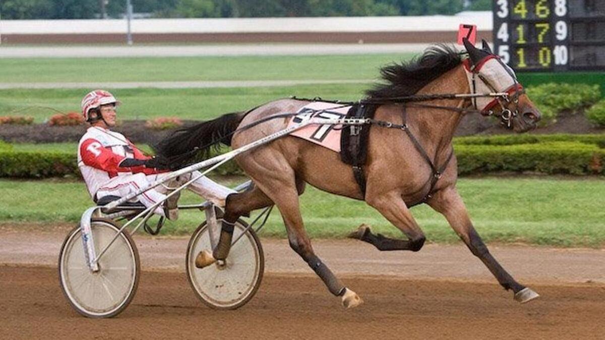 Harness racing returns to Red Mile in Lexington on Thursday night.