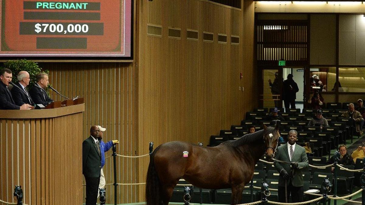 Summer Solo, part of the dispersal of the estate of Sarah Jane Leigh, was Monday’s sales topper.