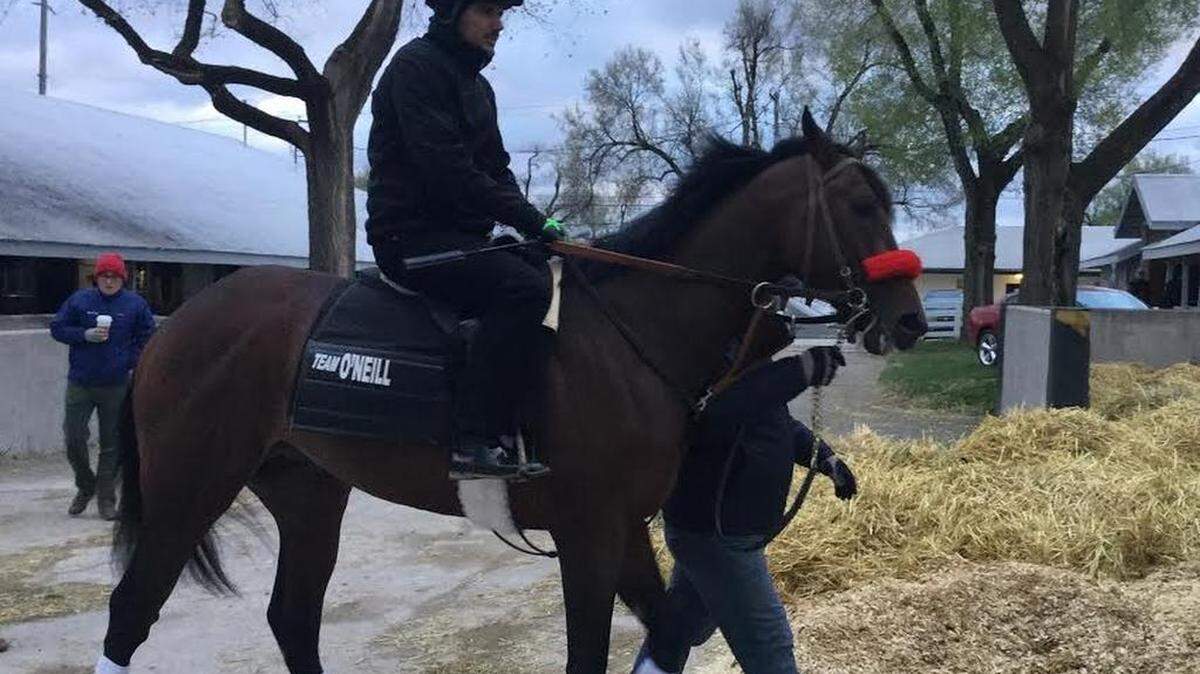 Nyquist headed out to the track Saturday morning.