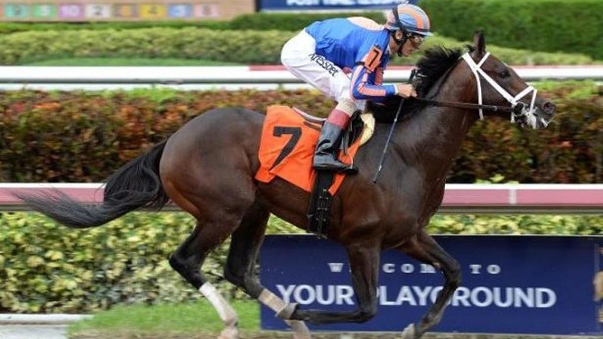 Todd Pletcher-trained Zulu has raced only twice, but is coming off a 7 1/4-length win at Gulfstream