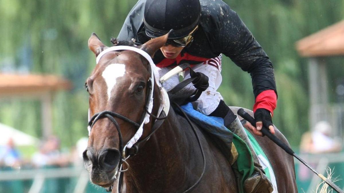 Lookin At Lee won the Ellis Park Juvenile in his third career start. Next up is the Breeders’ Cup Juvenile on Saturday.