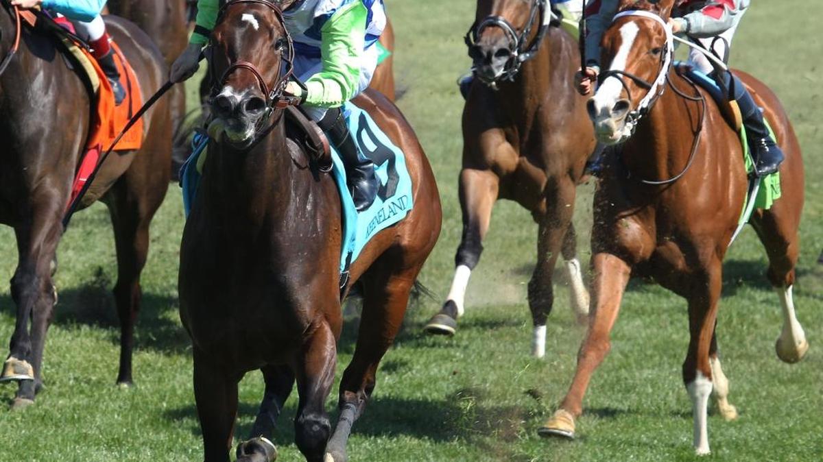 Exaggerated, with Julien Leparoux aboard, prevailed in the Giant’s Causeway.