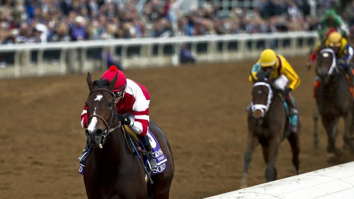 Songbird with jockey Jerry Hollendorfer up leads the field to the finish of the Breeders' Cup Juvenile Turf at the 2015 Breeders' Cup at Keeneland Race Course Friday October 30, 2015. Photo by Wade Payne