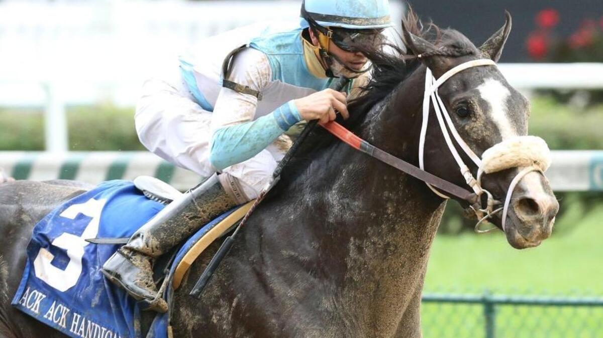 Tom’s Ready rolled up on the far outside and held off Iron Fist by half a length to win the Ack Ack, spoiling the seasonal bow of champion sprinter, Runhappy, who faded to fourth.