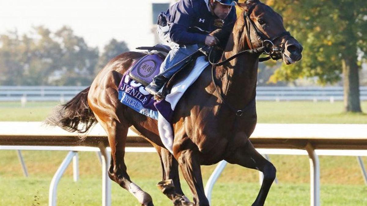 Greenpointcrusader put in a workout with Joe Bravo aboard before the Breeders’ Cup last October at Keeneland.