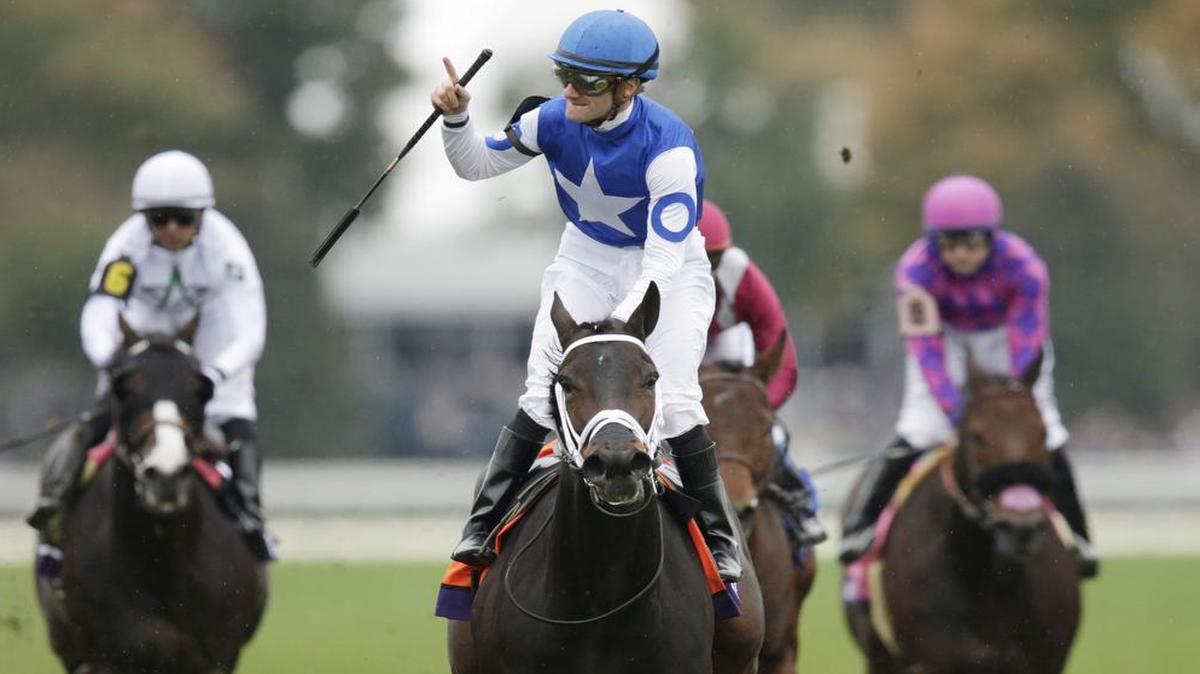 Tepin, with Julien Leparoux up, won the the Breeder's Cup Mile in 2015.