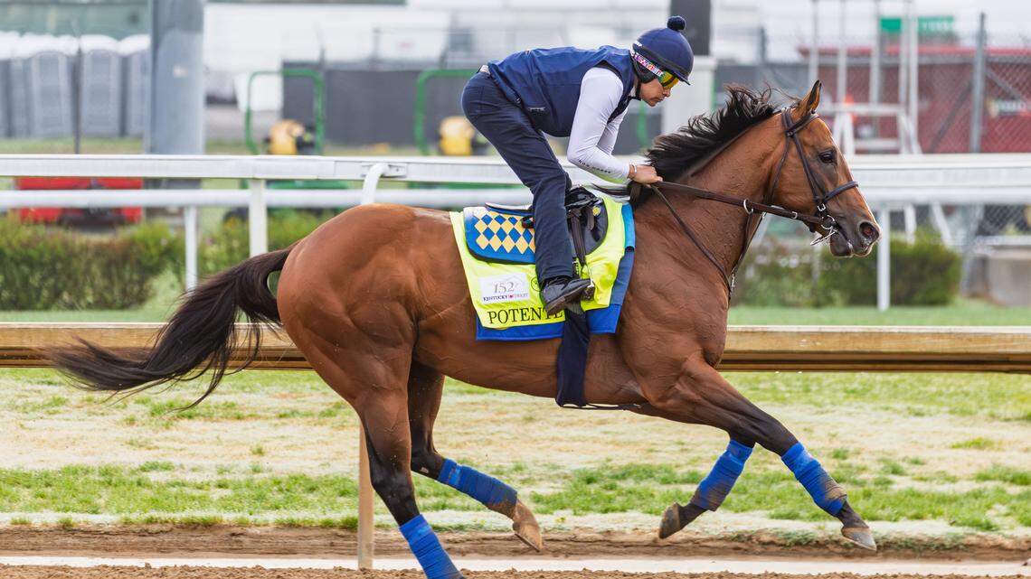 How much each horse in the 2026 Kentucky Derby cost its owners to buy