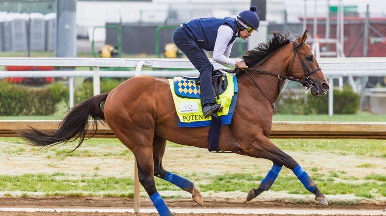How much each horse in the 2026 Kentucky Derby cost its owners to buy
