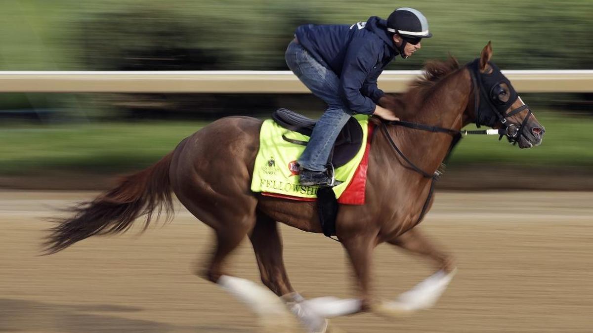Exercise rider Brian O'Leary rides Kentucky Derby hopeful Fellowship during a workout at Churchill Downs Monday, May 2, 2016, in Louisville, Ky. The 142nd running of the Kentucky Derby is scheduled for Saturday, May 7.