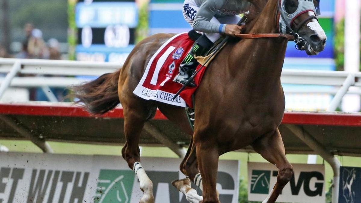California Chrome is the favorite for Saturday’s Breeders’ Cup Classic at Santa Anita.