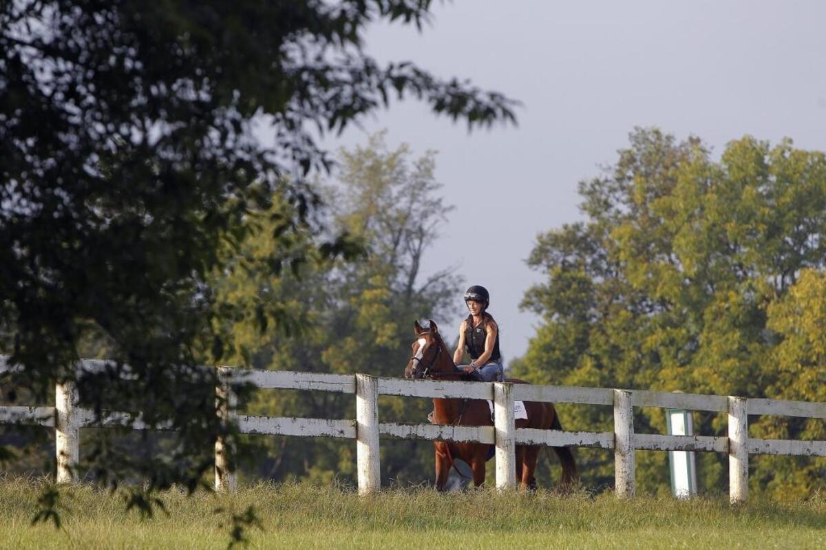 Stefanie Vetter, a student at North American Racing Academy, warms up Deja before her first breeze as a rider on the training track at the The Thoroughbred Center on Paris Pike in Lexington, Ky., Thursday, August 31, 2017.