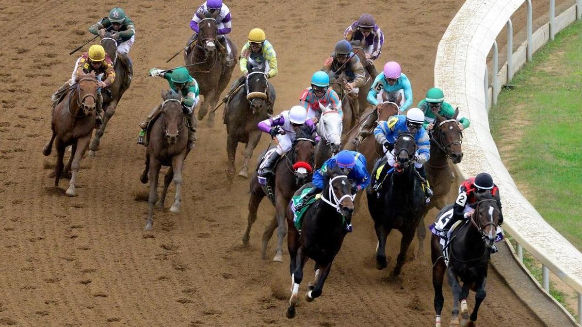 Riker, No. 2 with Jesse Campbell up, led the field around the final turn in the Breeders’ Cup Juvenile at the 2015 Breeders’ Cup at Keeneland Race Course.