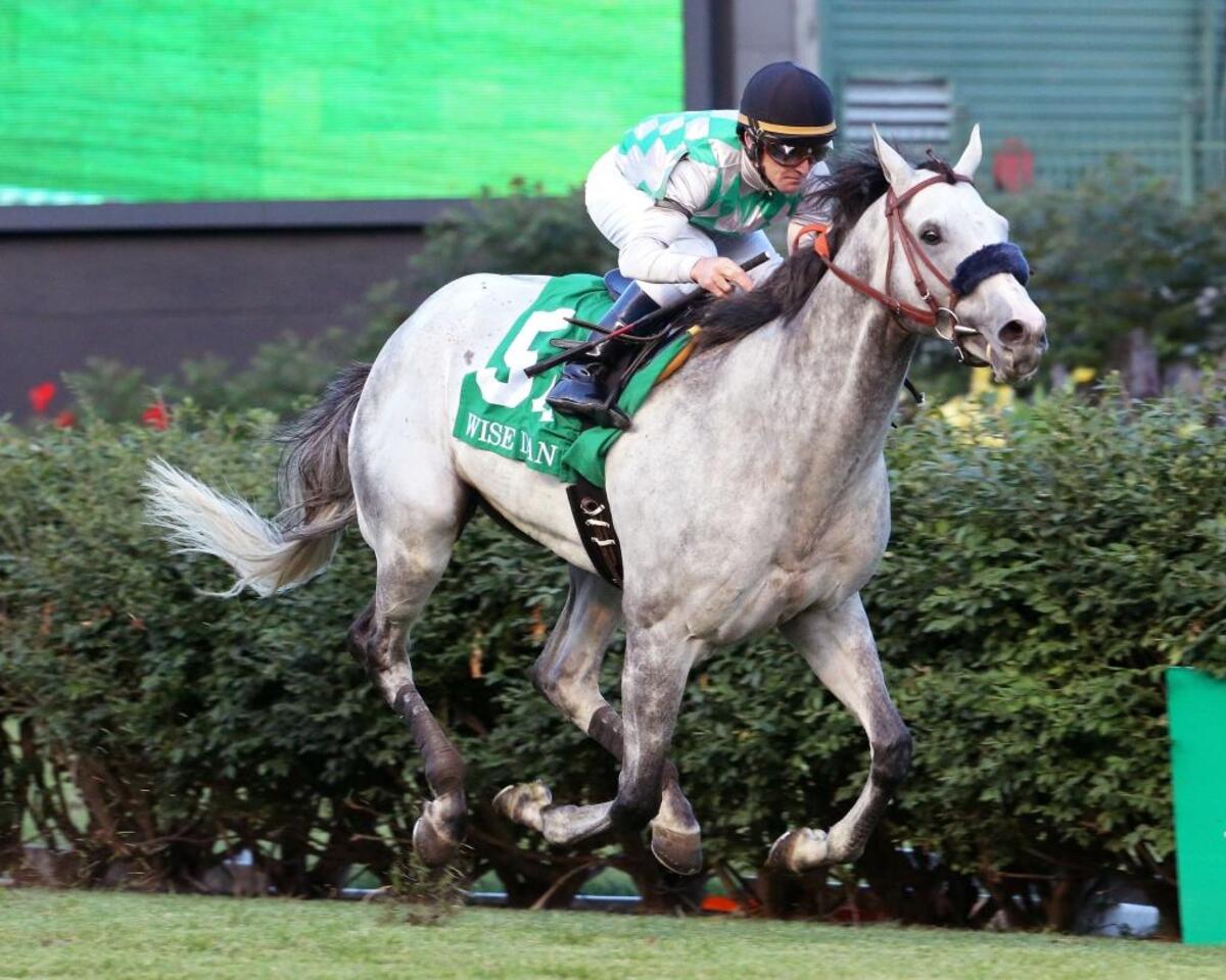 Kasaqui won the Wise Dan at Churchill Downs.